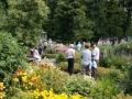 Svaneholmsträdgården den 12 juli