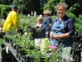 Vår årliga växtmarknad vid Svaneholm den 6 juni.